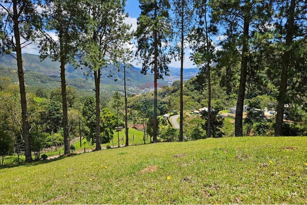 Terreno - Venda - Nova Friburgo , Rio de Janeiro - 20251111_104002.jpg - 630551024-83