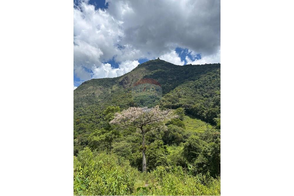 Chácara / Sítio / Fazenda - Venda - Macaé , Rio de Janeiro - f4966116-2752-42f2-a375-79cedeb8dfcc.jpeg - 630361003-106