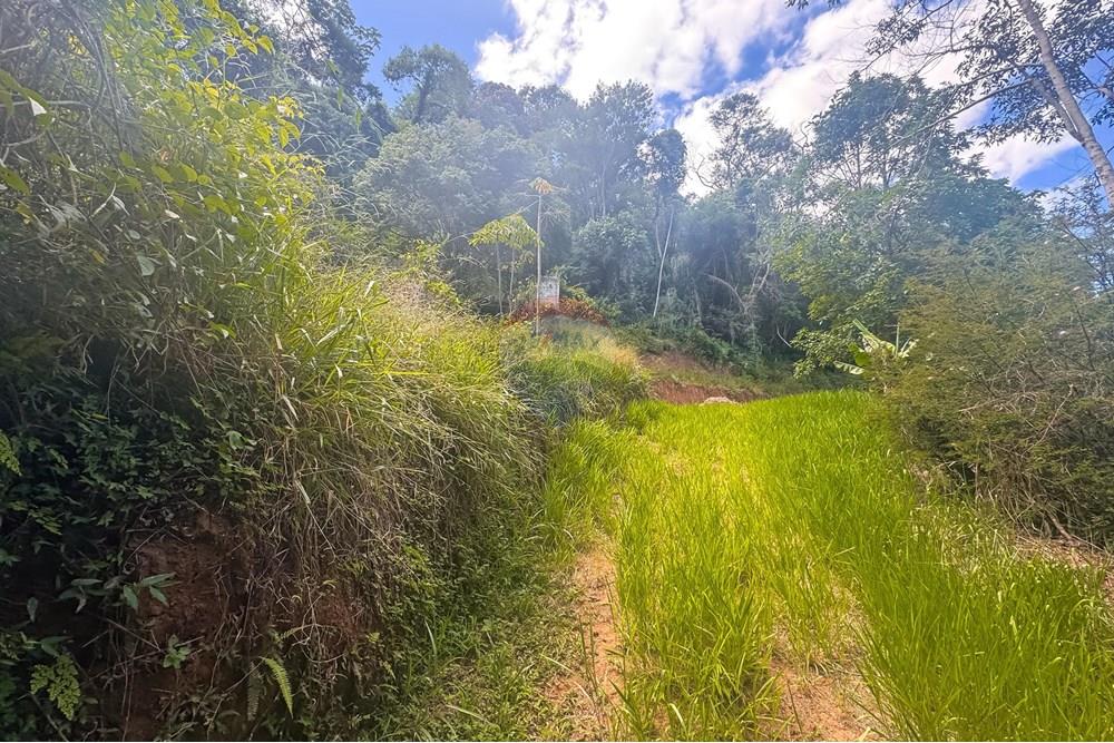 Terreno - Venda - Teresópolis , Rio de Janeiro - WhatsApp Image 2025-03-19 at 22.26.44 (1).jpeg - 630191021-109