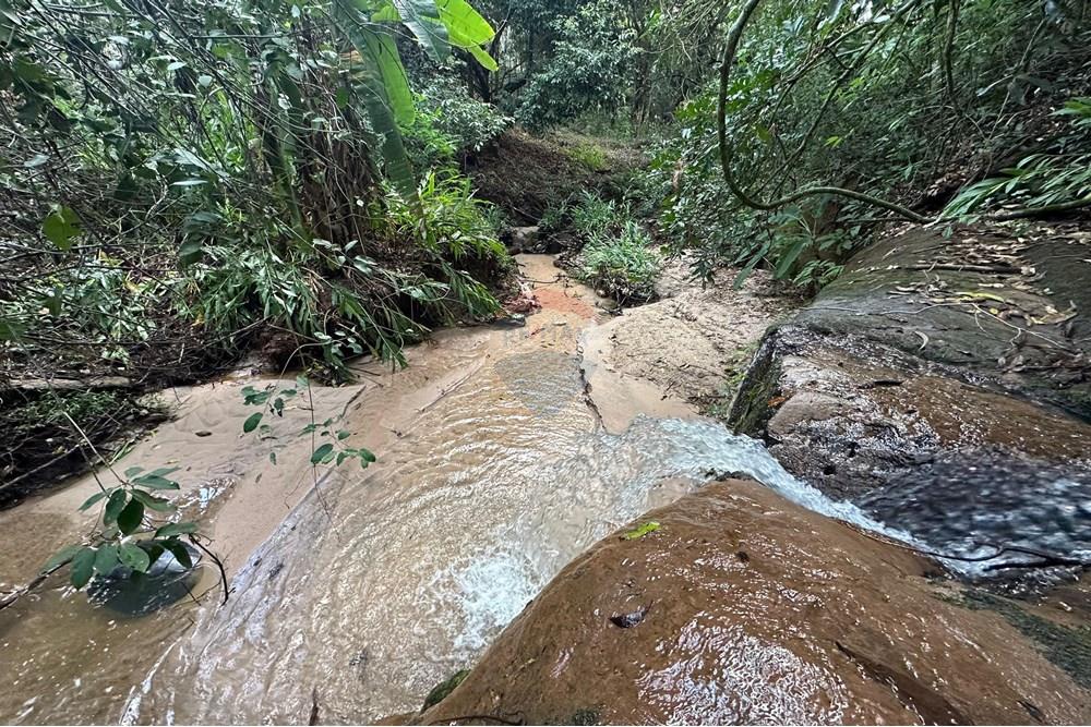 Chácara / Sítio / Fazenda - Venda - Bauru , São Paulo - 32.jpg - 631401012-35