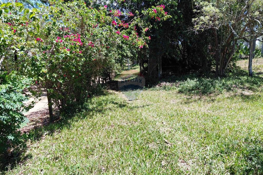 Terreno - Venda - Armação dos Búzios , Rio de Janeiro - 20251211_105508.jpg - 630391071-25