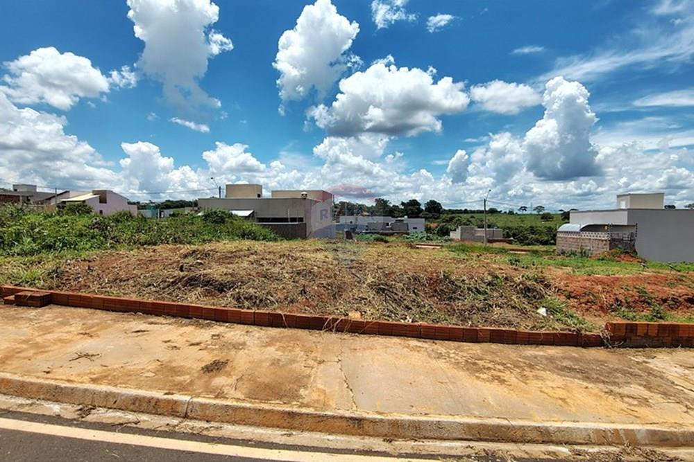 Terreno - Venda - Mirassol , São Paulo - IMG_20260207_130807180_HDR.jpg - 630401039-19