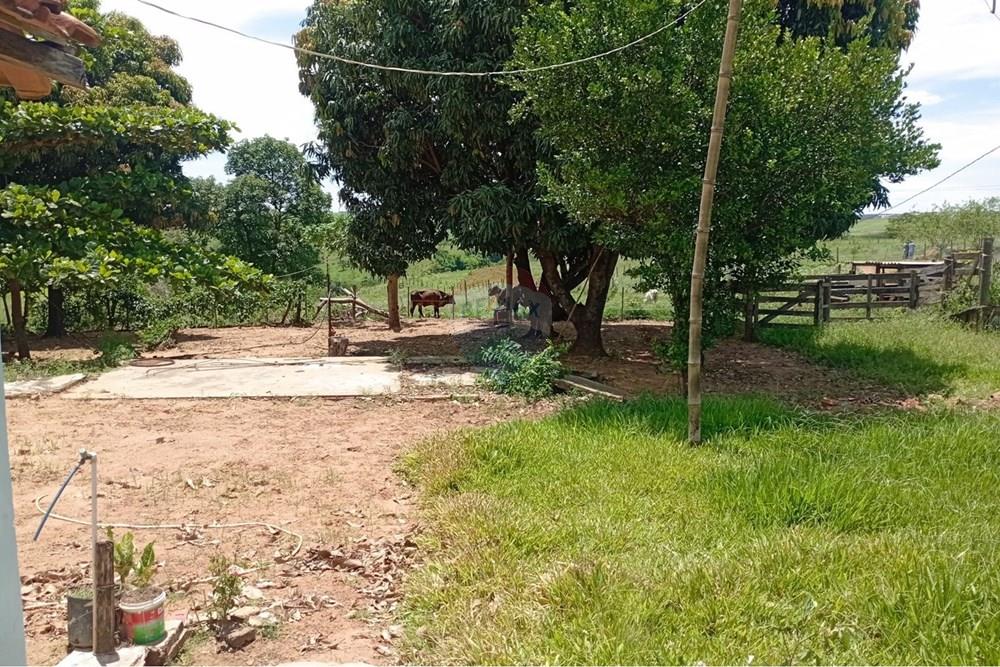 Chácara / Sítio / Fazenda - Venda - Tupã , São Paulo - WhatsApp Image 2026-01-14 at 15.07.26 (1).jpeg - 630151001-86