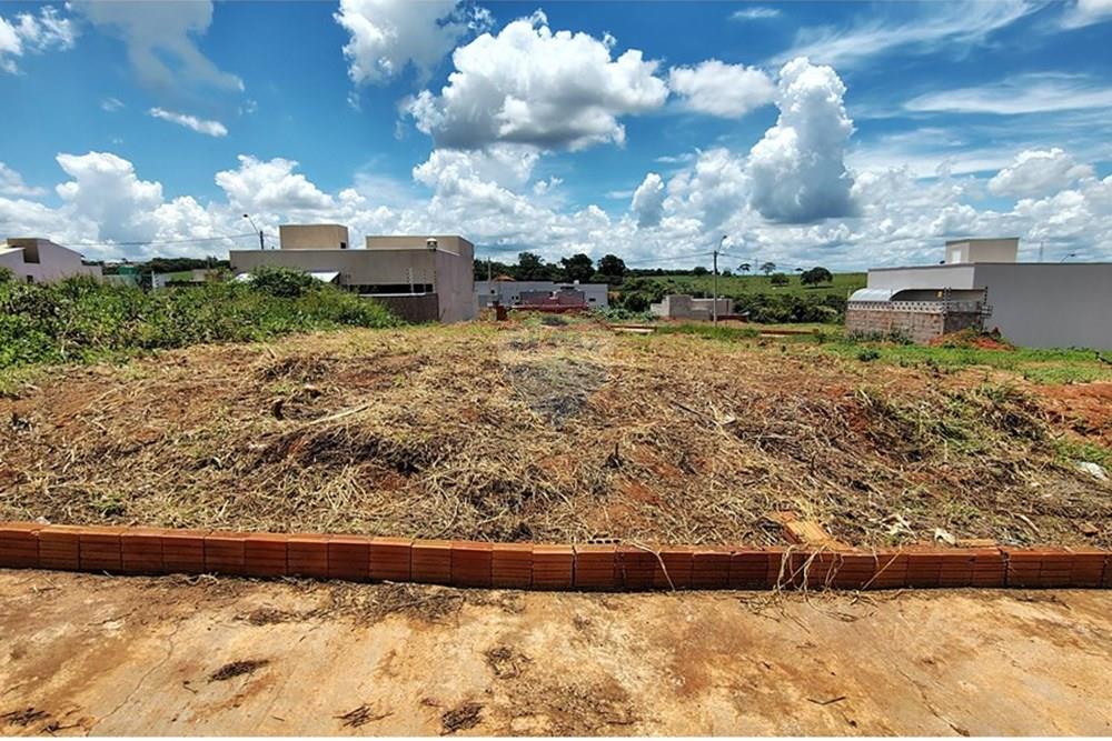 Terreno - Venda - Mirassol , São Paulo - IMG_20260207_130814836_HDR.jpg - 630401039-19