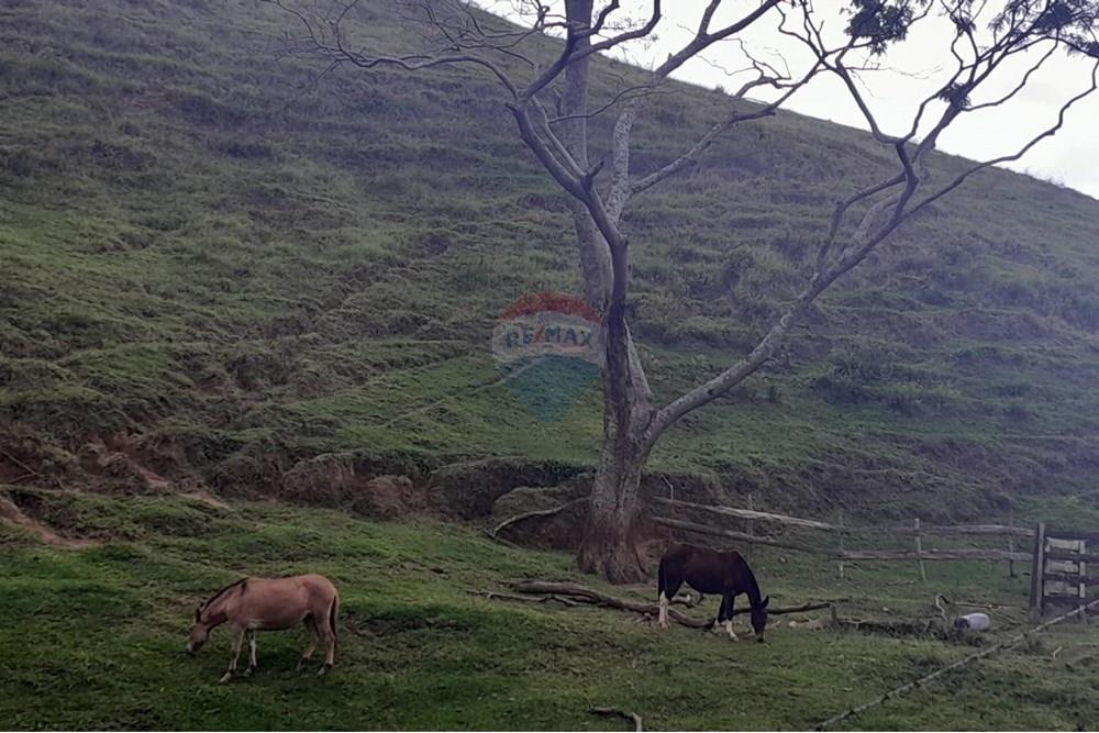 Agro - Venda - Santa Maria Madalena , Rio de Janeiro - WhatsApp Image 2025-05-29 at 13.32.44 (1).jpeg - 630171007-50