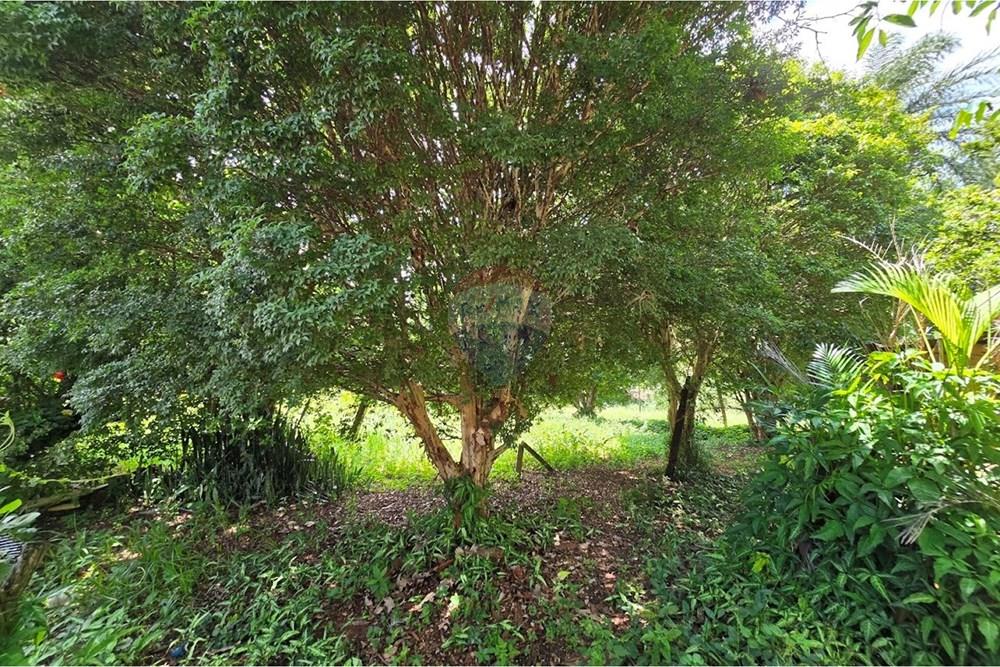 Terreno - Venda - Botucatu , São Paulo - 20260214_110808.jpg - 630481020-61