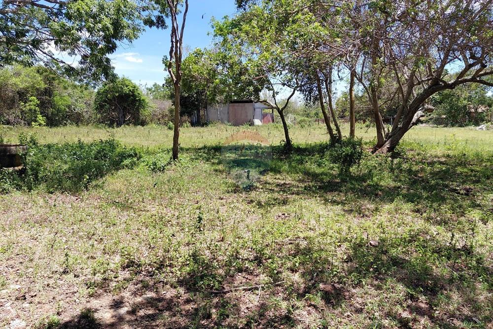 Terreno - Venda - Armação dos Búzios , Rio de Janeiro - 20251211_104843.jpg - 630391071-25