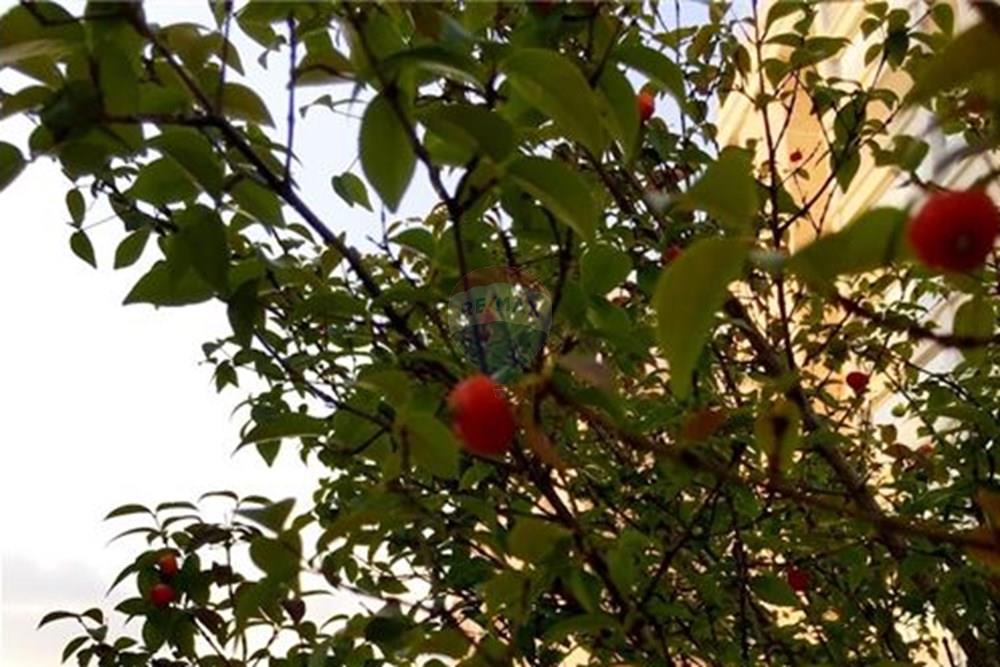 Apartamento - Alugar - Mogi das Cruzes , São Paulo - 52 - 630281041-135