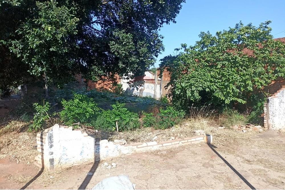 Terreno - Venda - Andradina , São Paulo - WhatsApp Image 2025-04-10 at 17.35.09.jpeg - 631201029-54