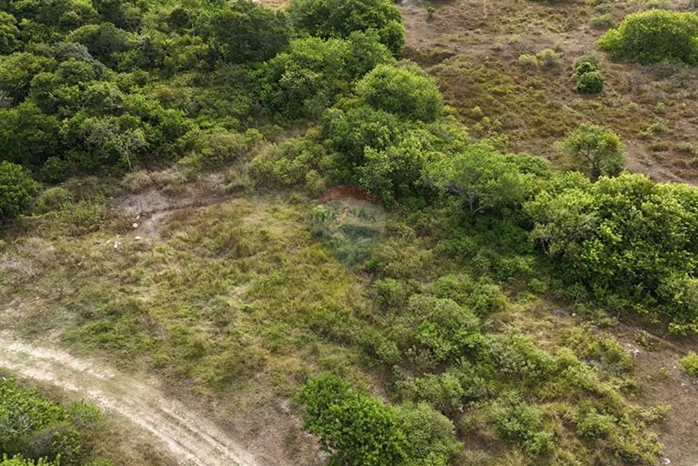Terreno - Venda - Armação dos Búzios , Rio de Janeiro - dji_fly_20250310_154250_0011_1742265329702_photo(1).JPG - 630391033-19