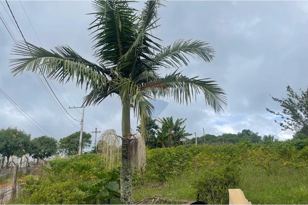 Chácara à venda com 2 quartos, 15340m² - Foto 2