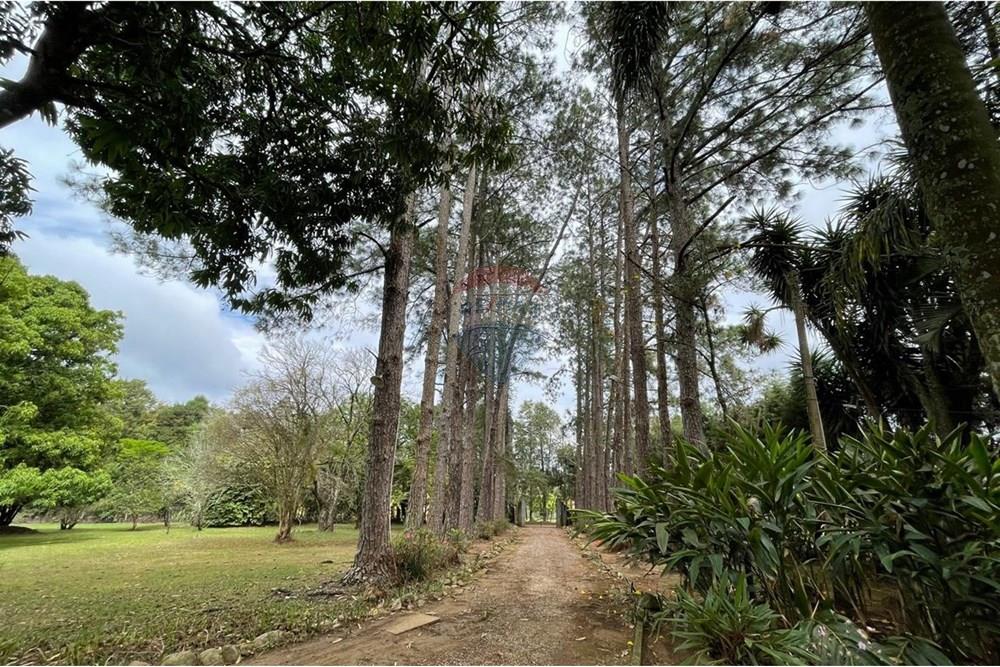 Casa de Campo - Venda - Araçoiaba da Serra , São Paulo - WhatsApp Image 2025-10-30 at 08.19.35.jpeg - 630591061-147