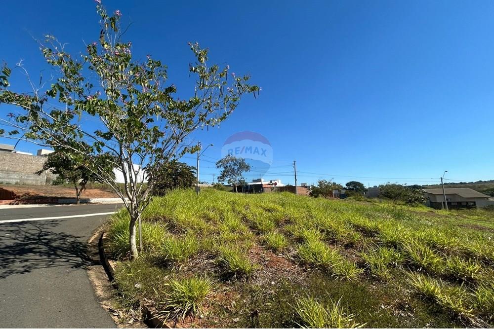 Terreno - Venda - São José do Rio Preto , São Paulo - Imagem do WhatsApp de 2025-05-30 à(s) 14.21.34_374dd557.jpg - 631381002-92
