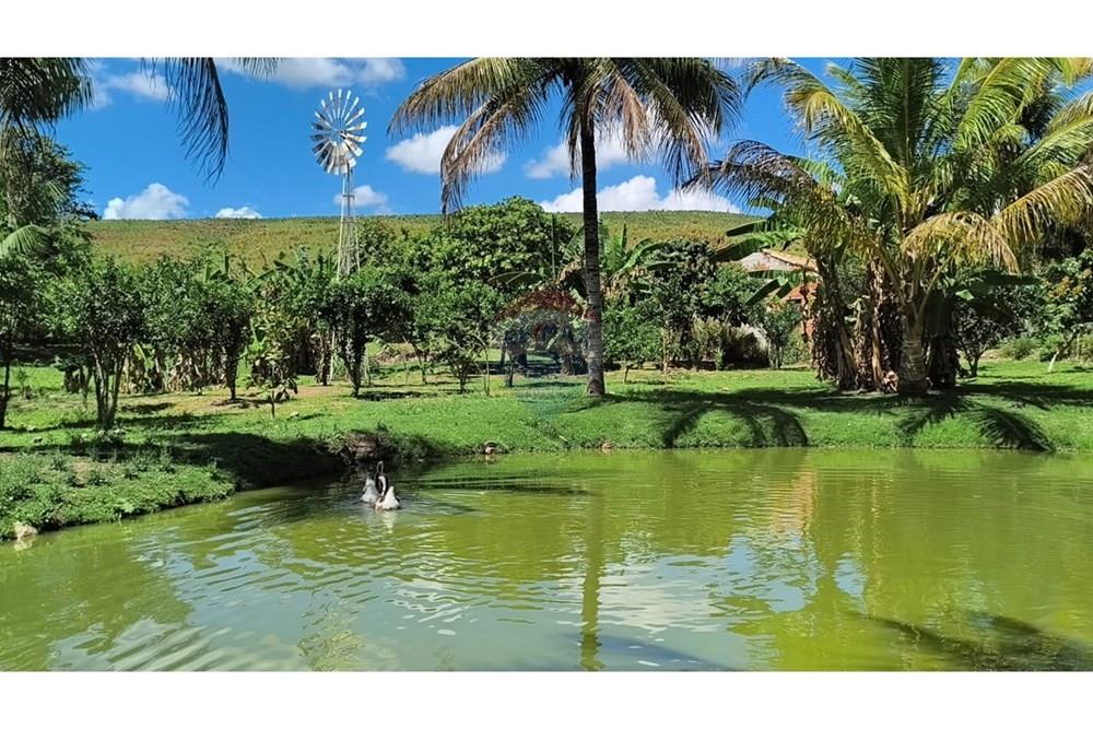 Chácara / Sítio / Fazenda - Venda - Rio Bonito , Rio de Janeiro - WhatsApp Image 2025-09-22 at 14.45.51 (1).jpeg - 631351005-11