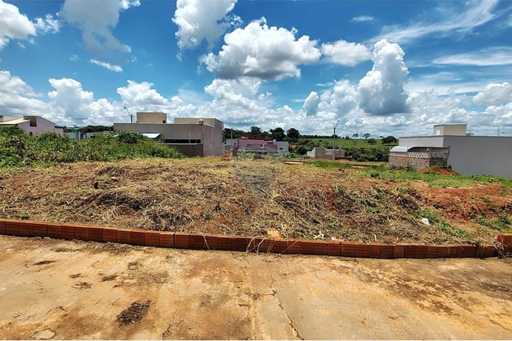 Terreno - Venda - Mirassol , São Paulo - IMG_20260207_130810701_HDR.jpg - 630401039-19
