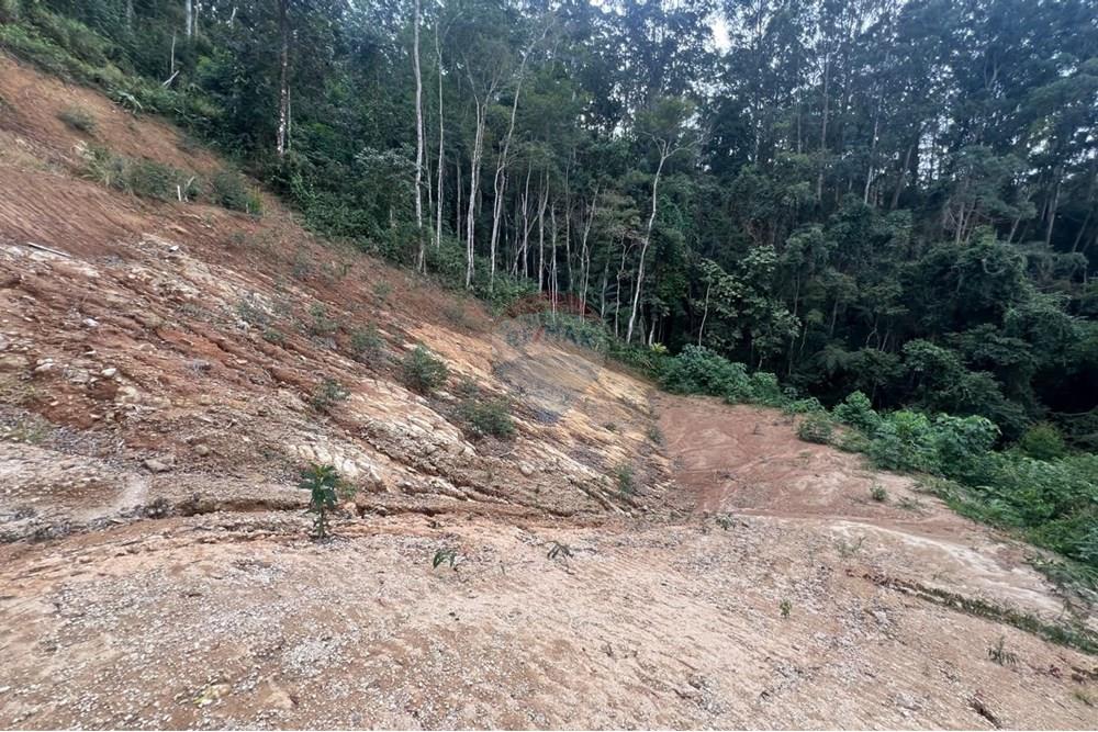 Terreno - Venda - Petrópolis , Rio de Janeiro - WhatsApp Image 2025-08-15 at 16.59.11.jpeg - 630131062-39