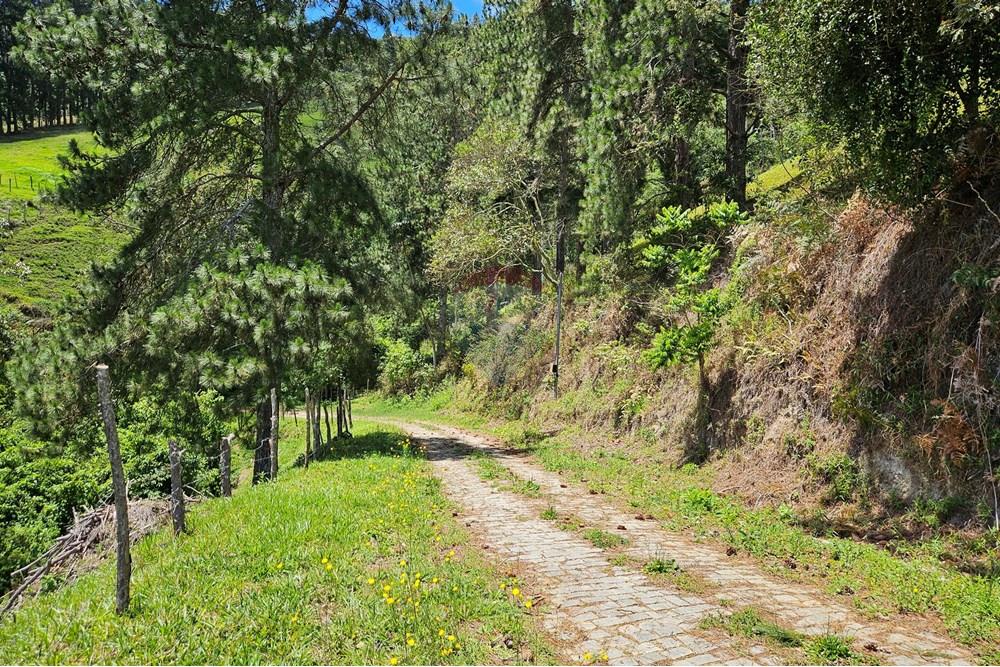 Terreno - Venda - Nova Friburgo , Rio de Janeiro - 20251111_103017.jpg - 630551024-83