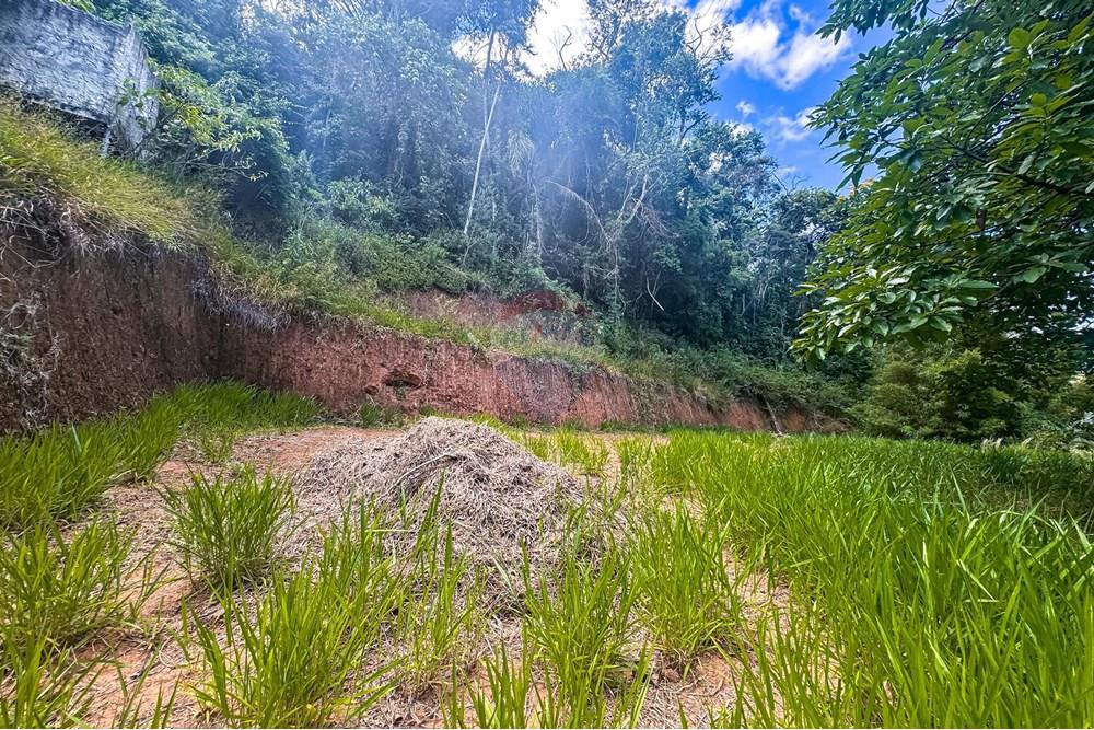 Terreno - Venda - Teresópolis , Rio de Janeiro - WhatsApp Image 2025-03-19 at 22.22.21.jpeg - 630191021-109