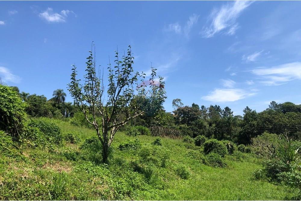 Chácara / Sítio / Fazenda - Venda - Santa Isabel , São Paulo - WhatsApp Image 2025-02-20 at 14.04.35 (13).jpeg - 631491020-25