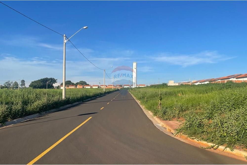 Terreno - Venda - Bady Bassitt , São Paulo - inicio.jpeg - 631481002-90