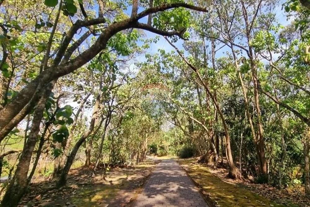 Ponto Comercial/ Loja - Venda - Mogi das Cruzes , São Paulo - WhatsApp Image 2025-06-02 at 01.27.31.jpeg - 630281011-808