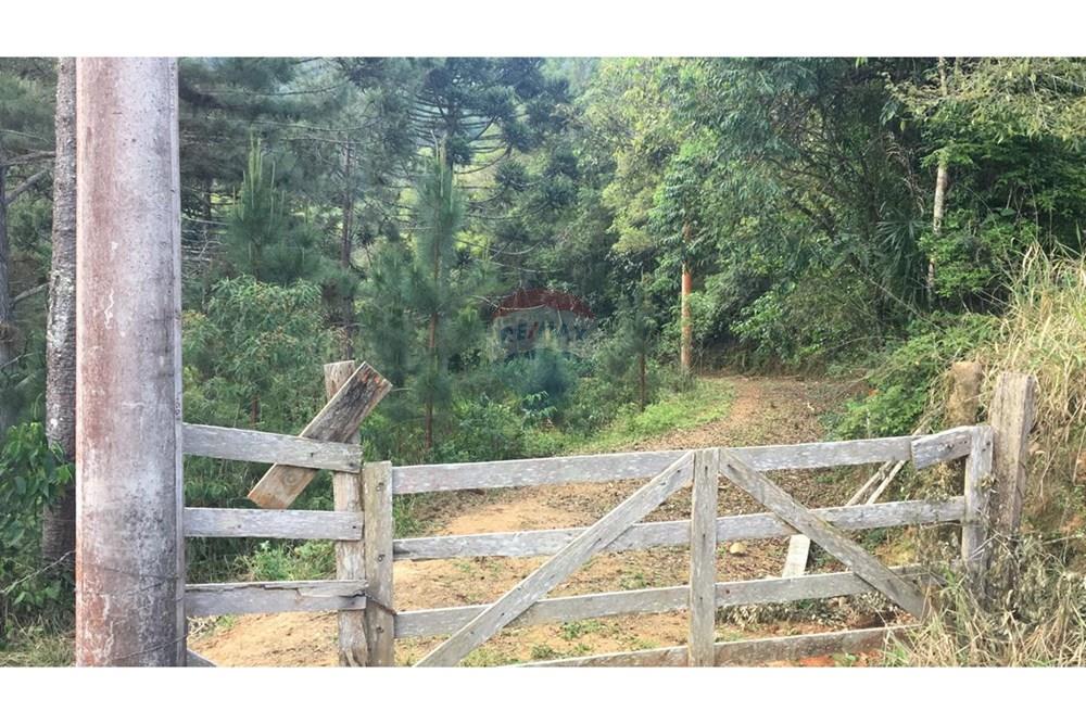 Chácara / Sítio / Fazenda - Venda - Barra do Chapéu , São Paulo - WhatsApp Image 2025-04-11 at 15.16.22.jpeg - 630241005-68