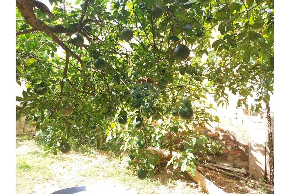 Casa de Campo - Alugar - Salto de Pirapora , São Paulo - WhatsApp Image 2024-04-29 at 12.18.28.jpeg - 631181023-68