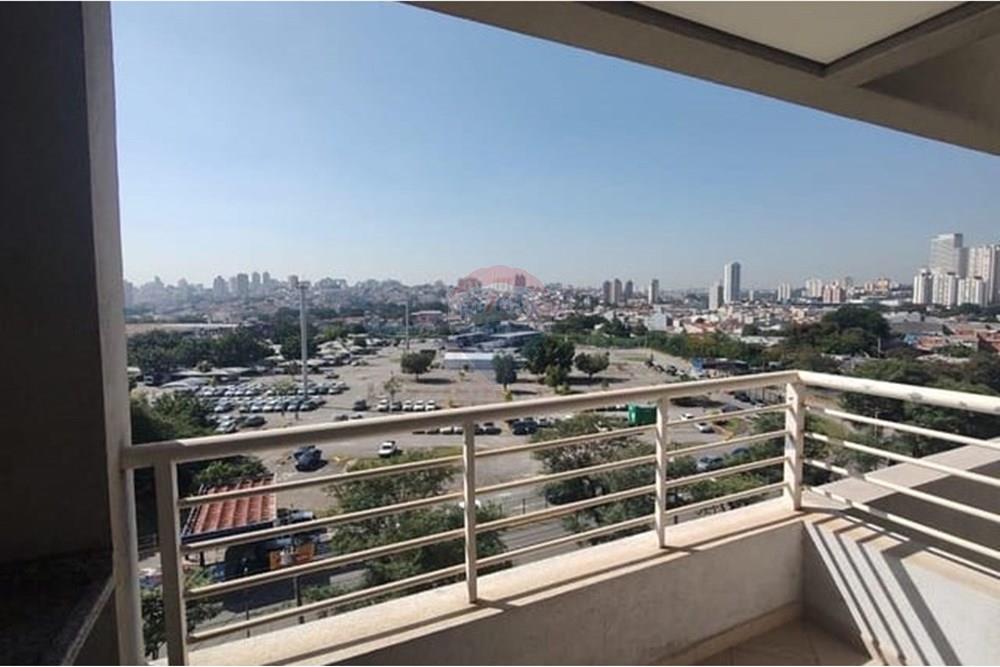 Apartamento - Alugar - São Bernardo do Campo , São Paulo - whatsapp-image-2025-05-21-at-17-28-541747925259525.jpeg - 630751044-338