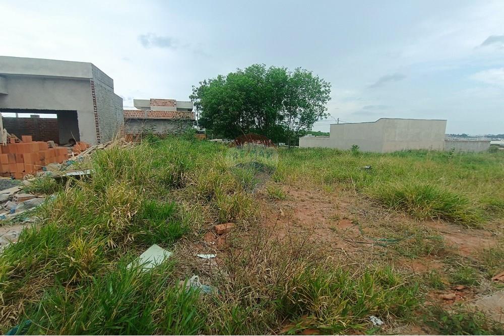 Terreno - Venda - Presidente Prudente , São Paulo - IMG_20251028_120225.jpg - 630861066-13