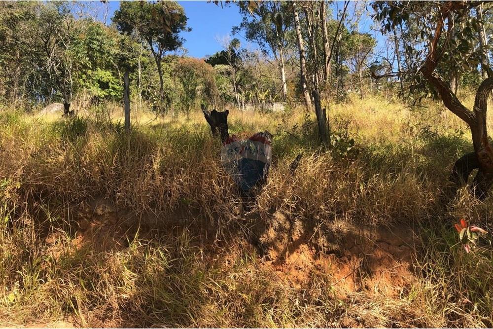 Terreno - Venda - Mairiporã , São Paulo - Imagem do WhatsApp de 2025-09-09 à(s) 16.01.08_dfe68f07.jpg - 631361059-4