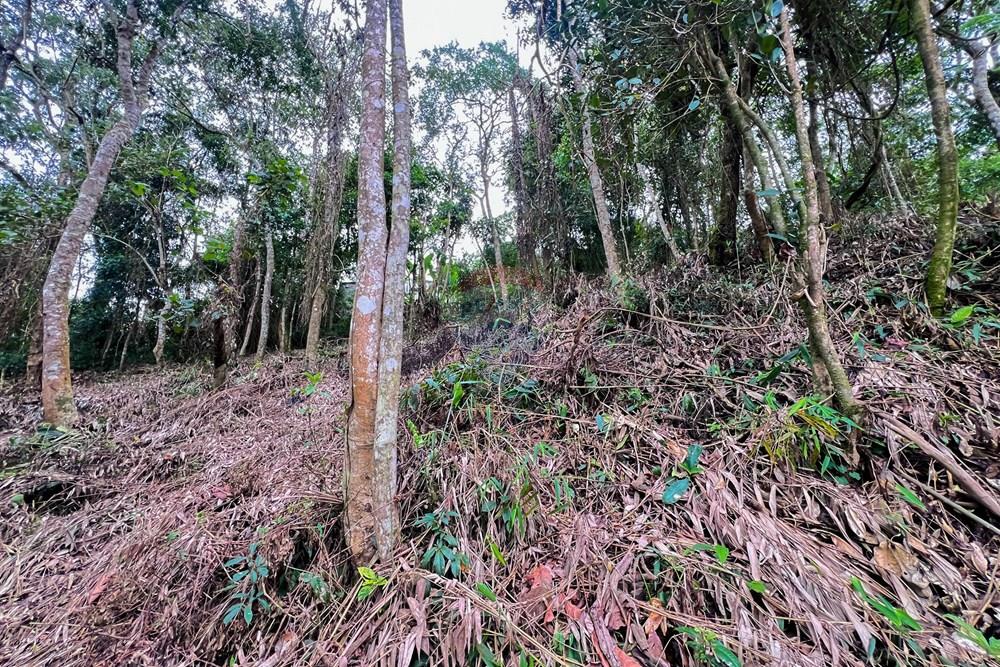 Terreno - Venda - Ribeirão Pires , São Paulo - 11.jpg - 631371054-1