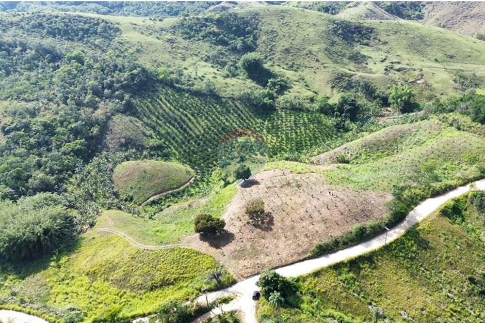 Terreno - Venda - Rio Bonito , Rio de Janeiro - WhatsApp Image 2026-03-13 at 11.17.23.jpeg - 631351028-14