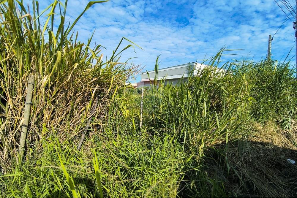 Terreno - Venda - Maricá , Rio de Janeiro - 17843bc5-7366-48ee-9203-877b35037e3b.jpeg - 630121040-47