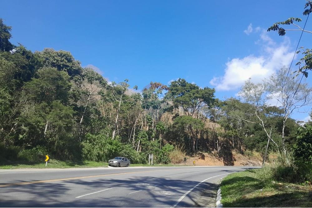 Terreno - Venda - Bom Jardim , Rio de Janeiro - WhatsApp Image 2025-08-14 at 11.01.25 (1).jpeg - 630171007-56