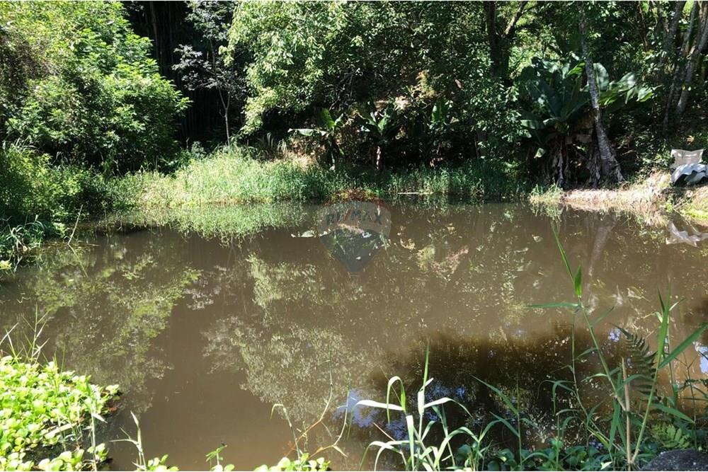 Chácara / Sítio / Fazenda - Venda - Santa Isabel , São Paulo - WhatsApp Image 2025-02-20 at 14.04.35 (3).jpeg - 631491020-25