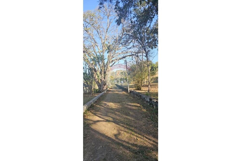 Chácara / Sítio / Fazenda - Venda - Santa Isabel , São Paulo - IMG-20250901-WA0299.jpg - 631491001-239