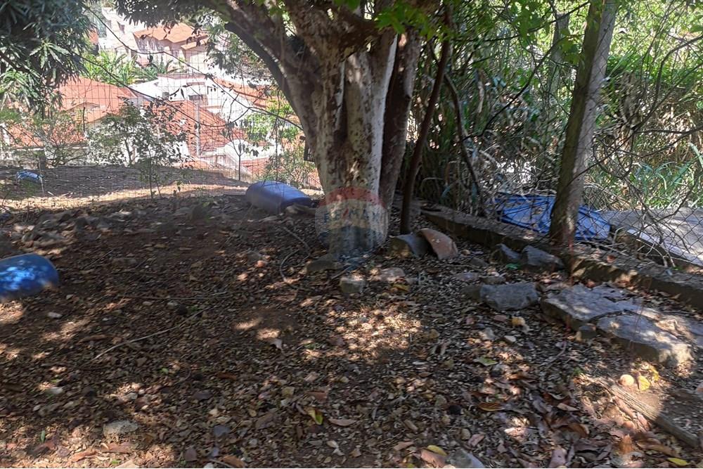 Terreno - Venda - Paraíba do Sul , Rio de Janeiro - IMG_20251106_140306.jpg - 631411001-102