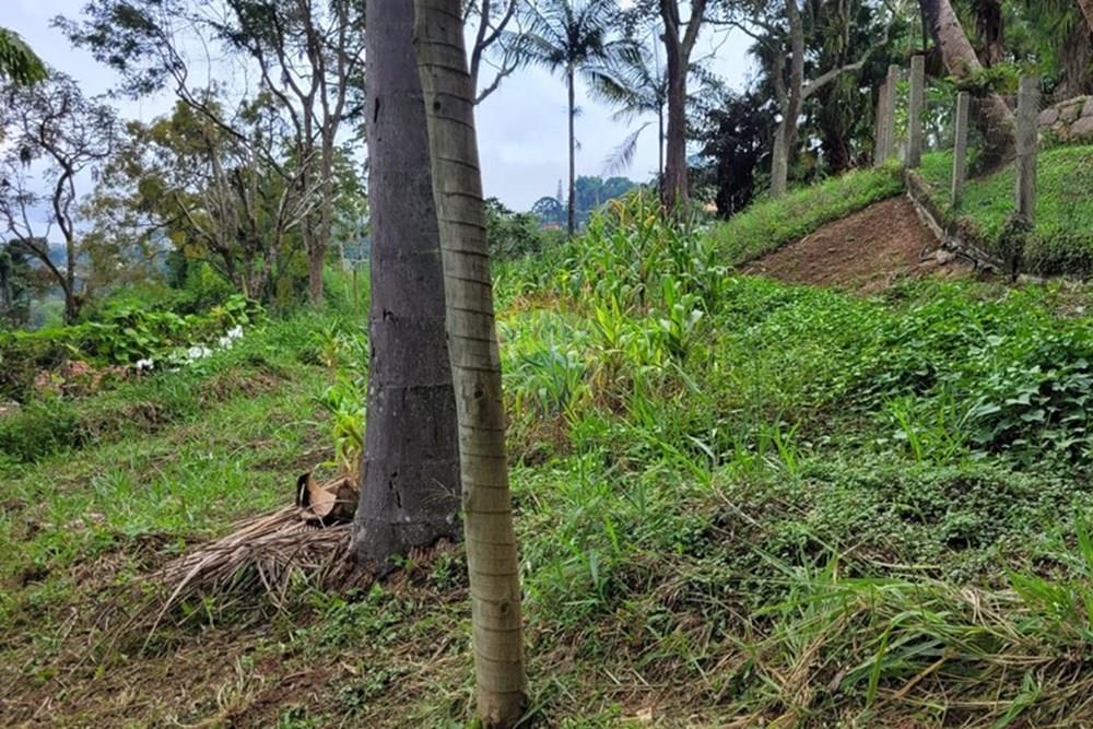 Terreno - Venda - Teresópolis , Rio de Janeiro - WhatsApp Image 2026-03-11 at 07.51.21 (2).jpeg - 630191030-40