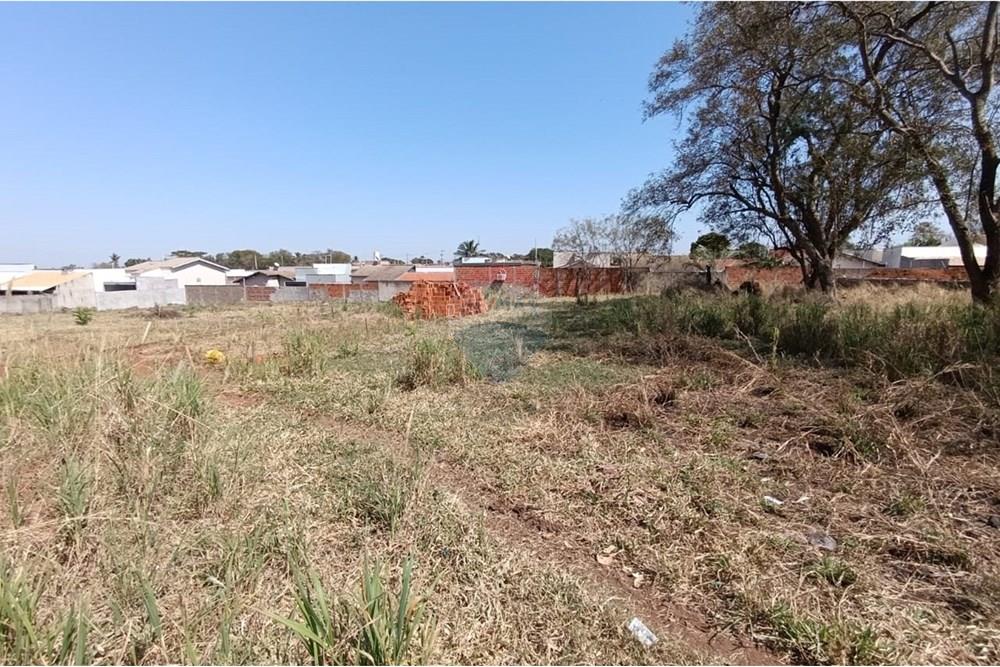 Terreno - Venda - Andradina , São Paulo - IMG-20250821-WA0057.jpg - 631201035-67