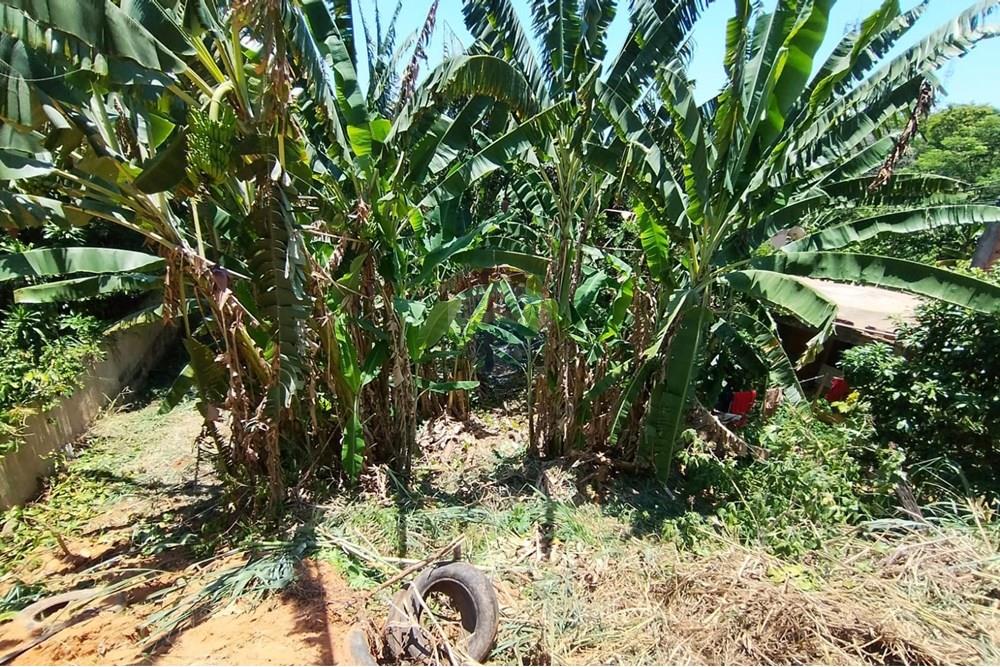 Terreno - Venda - Nova Iguaçu , Rio de Janeiro - WhatsApp Image 2025-12-29 at 16.27.41 (1).jpeg - 630291063-35