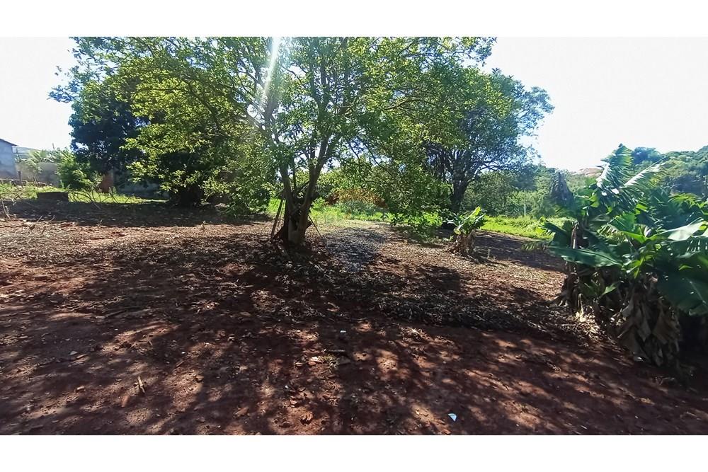 Terreno - Venda - Botucatu , São Paulo - 10-IMG_20251107_085458.jpg - Quintal - 630481103-134