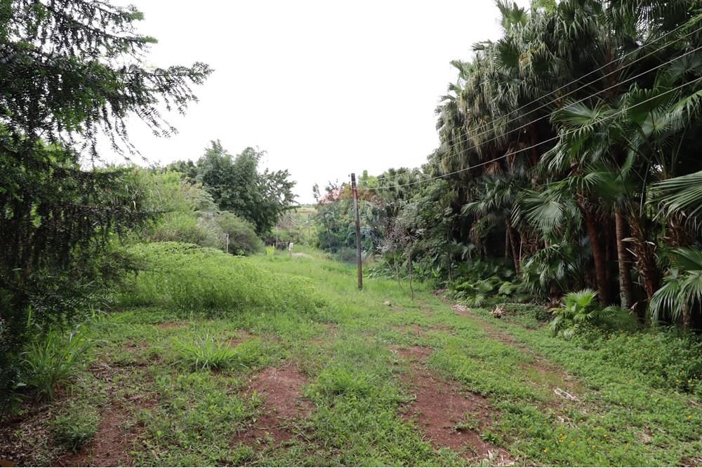 Chácara / Sítio / Fazenda - Venda - Atibaia , São Paulo - IMG_2600 (Custom).JPG - 631361005-173