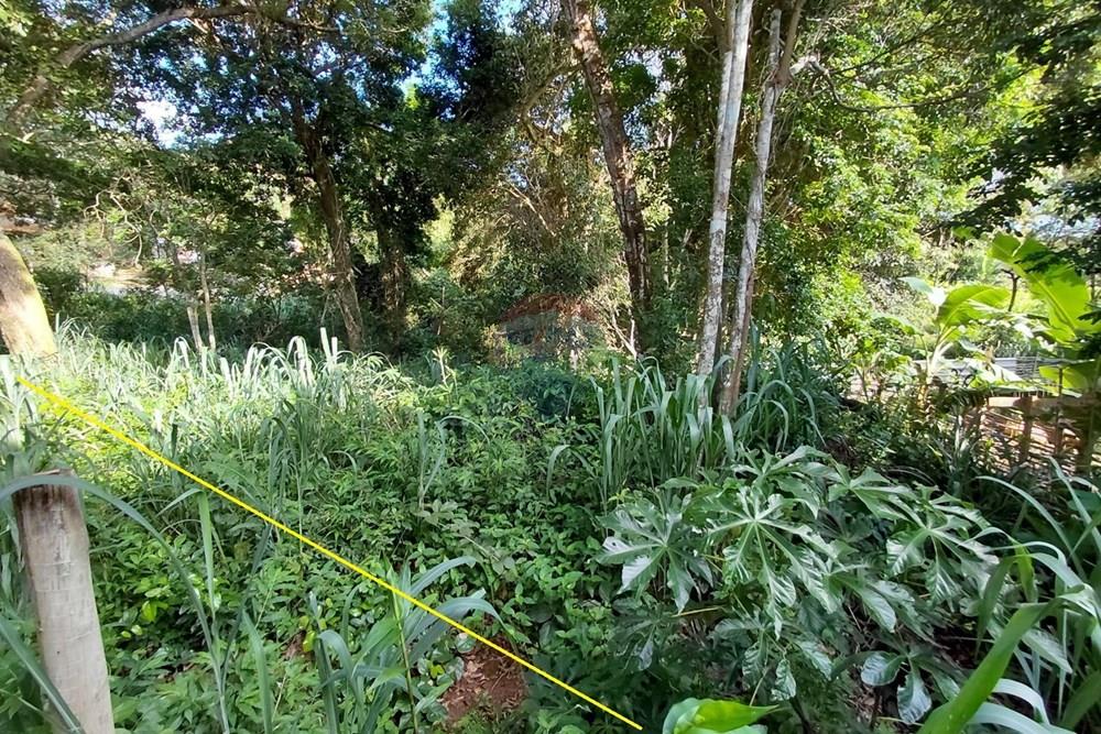 Terreno - Venda - Armação dos Búzios , Rio de Janeiro - 20260206_163722.jpg - 630391071-28