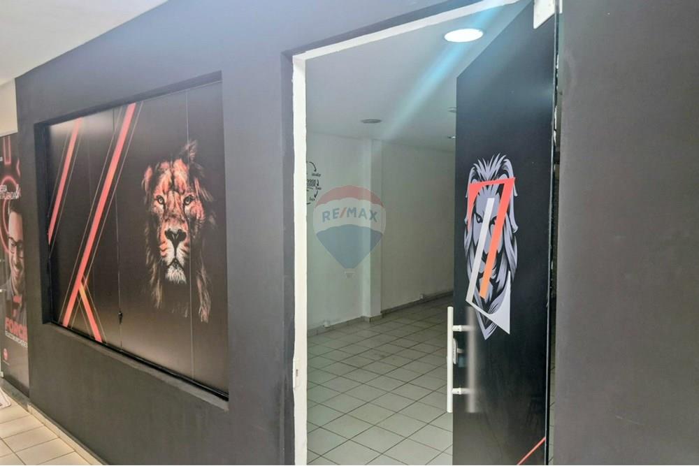 Casa Comercial - Alugar - Araçatuba , São Paulo - WhatsApp Image 2026-01-05 at 12.51.18.jpeg - 630541058-72