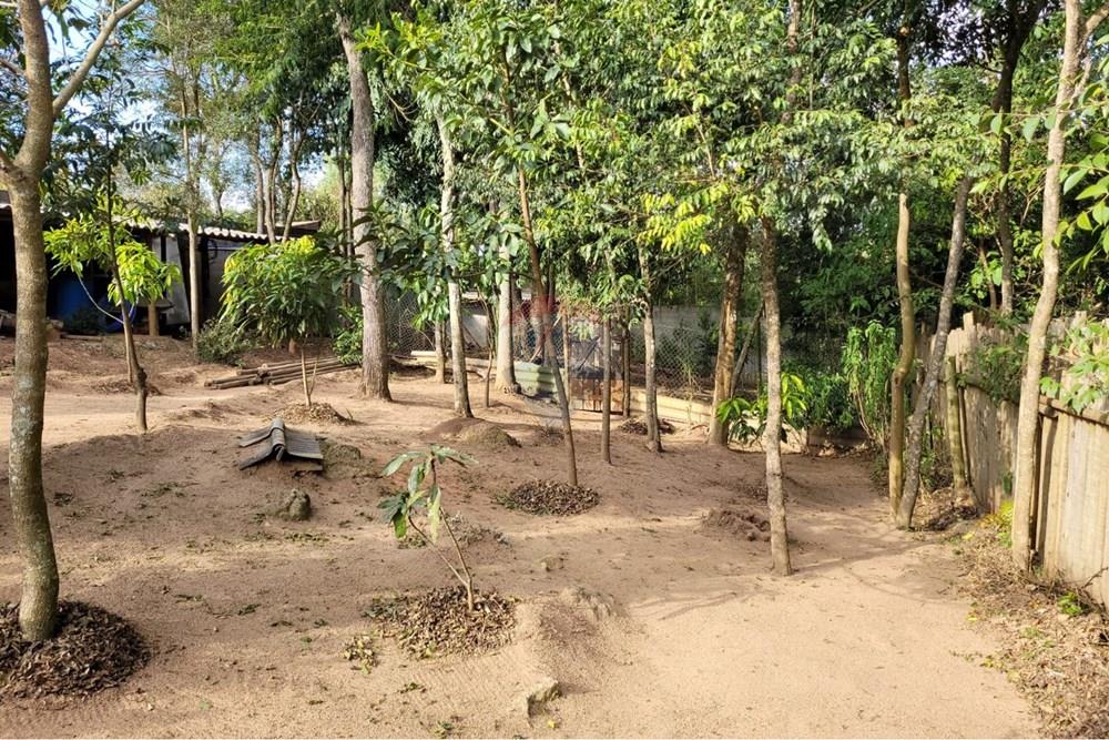 Chácara / Sítio / Fazenda - Venda - São Roque , São Paulo - WhatsApp Image 2026-01-19 at 12.50.49.jpeg - 631601019-35