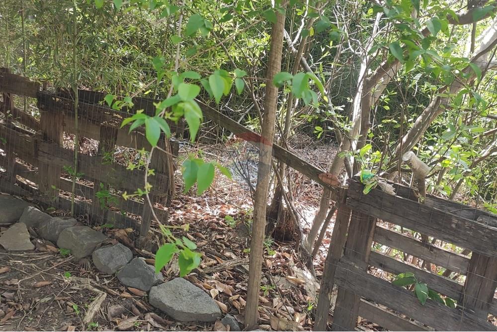 Terreno - Venda - Paraíba do Sul , Rio de Janeiro - IMG_20251106_135829.jpg - 631411001-102