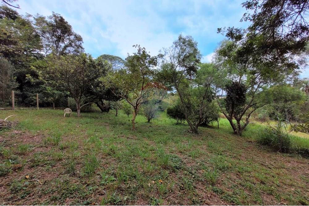 Chácara / Sítio / Fazenda - Venda - Ibiúna , São Paulo - 16.jpeg - 631331004-35