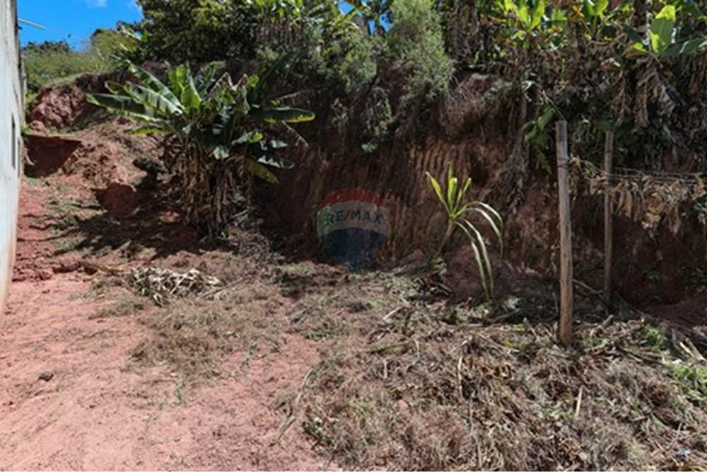 Terreno - Venda - Poá , São Paulo - L_a8d9aec2-393a-4747-8084-d642e02f7e29.jpg - 630281090-19
