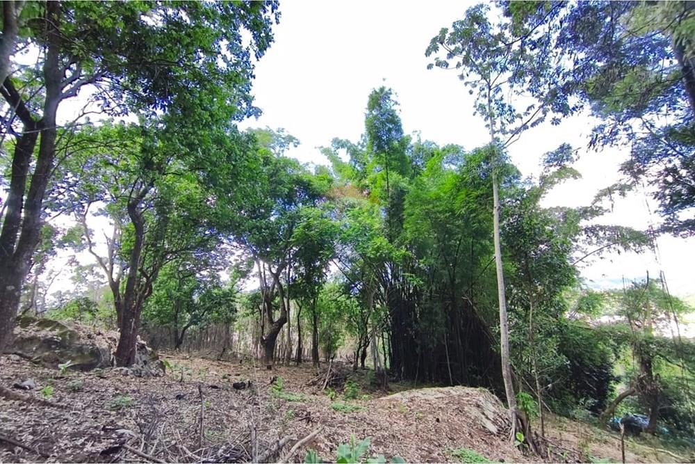 Terreno - Venda - Rio Bonito , Rio de Janeiro - WhatsApp Image 2026-03-26 at 15.58.43 (1).jpeg - 631351006-8