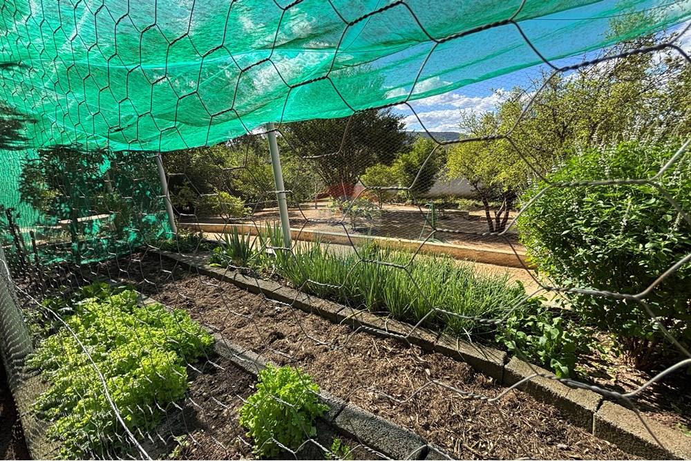 Casa de Campo - Venda - Araçoiaba da Serra , São Paulo - IMG_6238.jpeg - 630591061-149